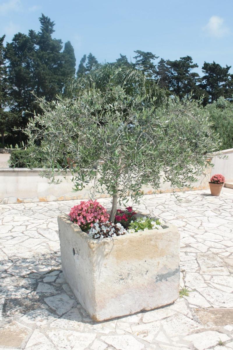 Tenuta Turchi Otrante Extérieur photo